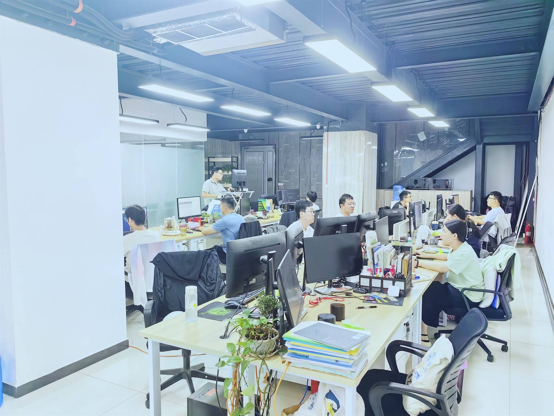 公司展示