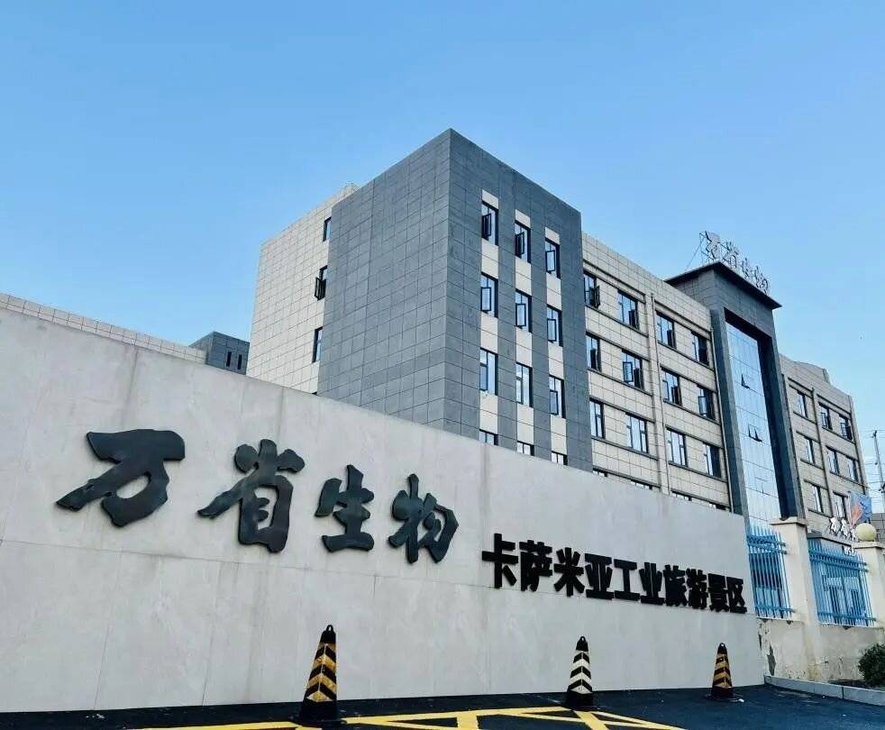 公司展示