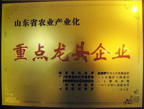 公司展示