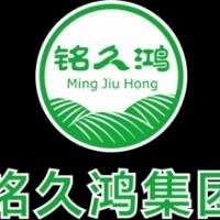 企业logo