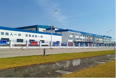 公司展示