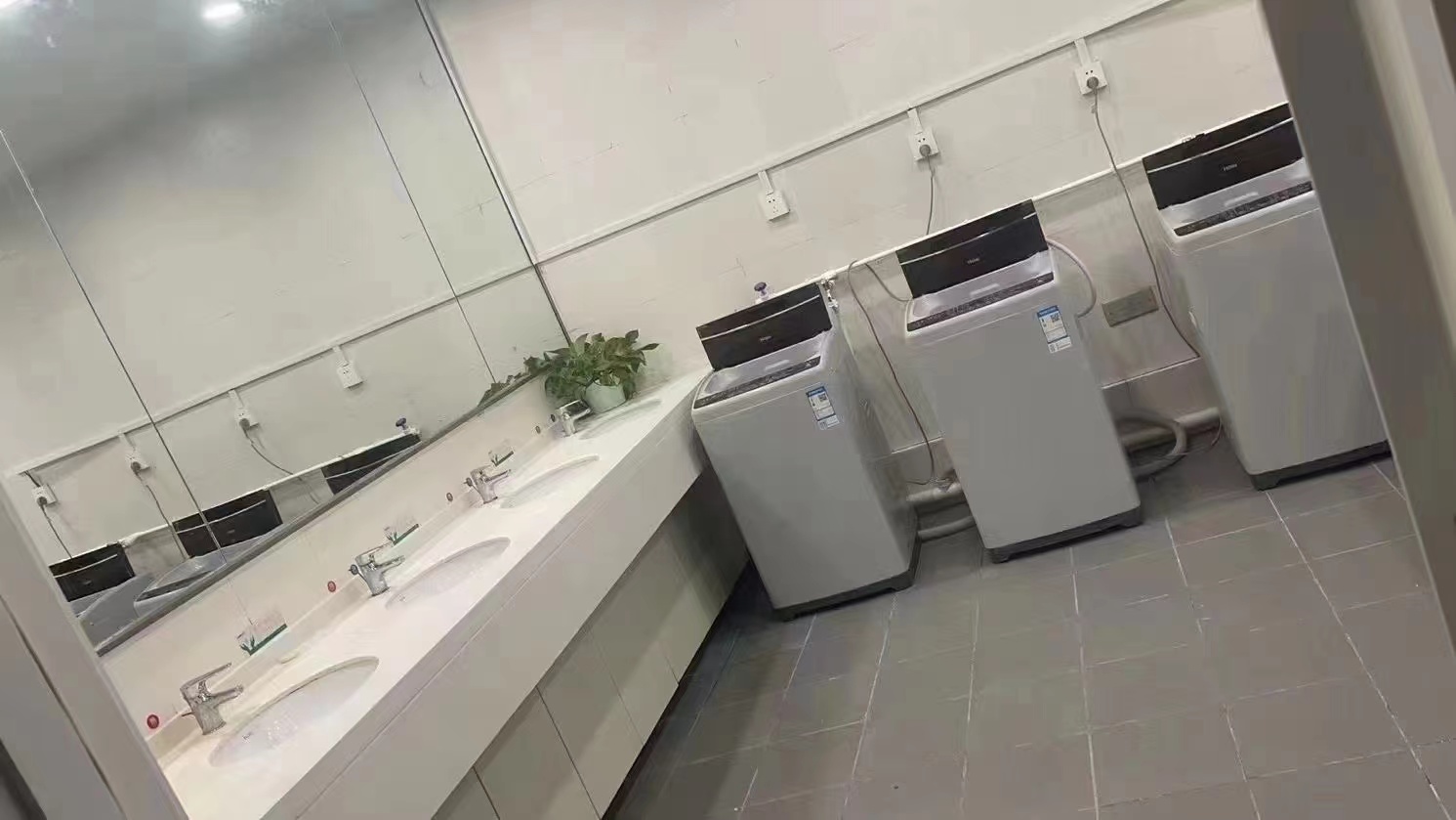 洛阳晟诚的公司展示