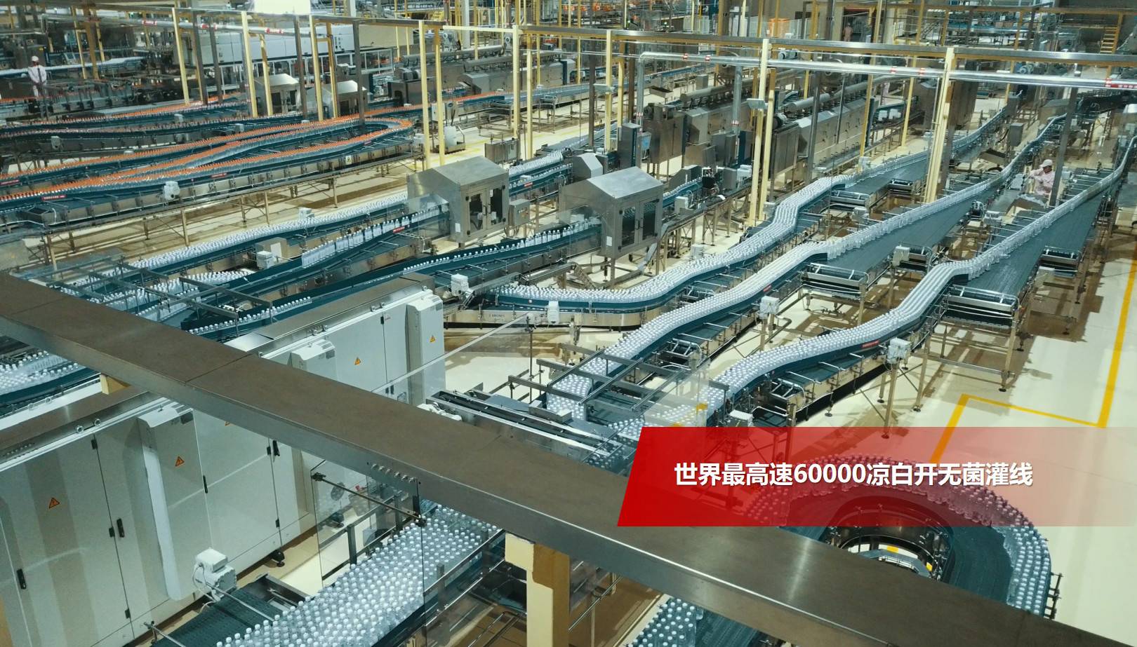 今麦郎饮品的公司展示