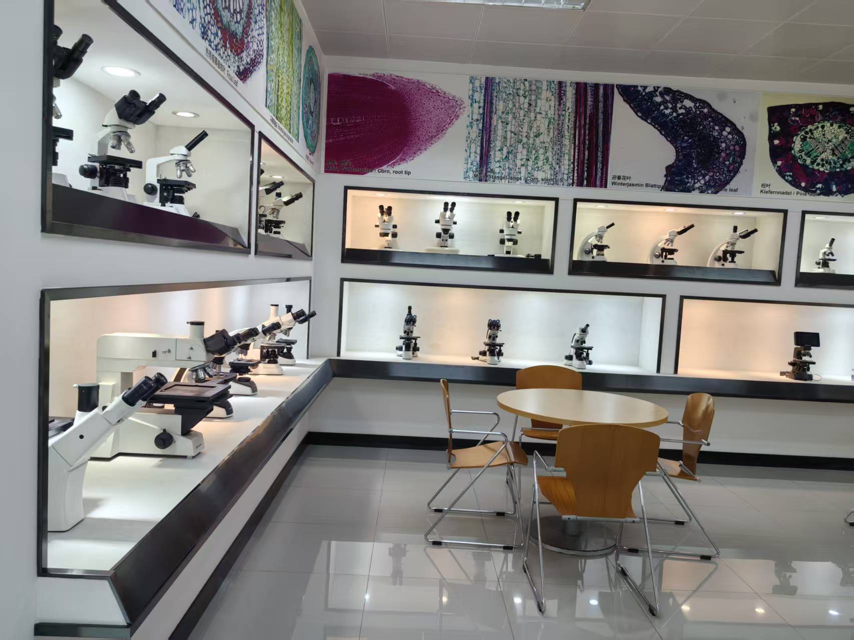 晶和光电的公司展示