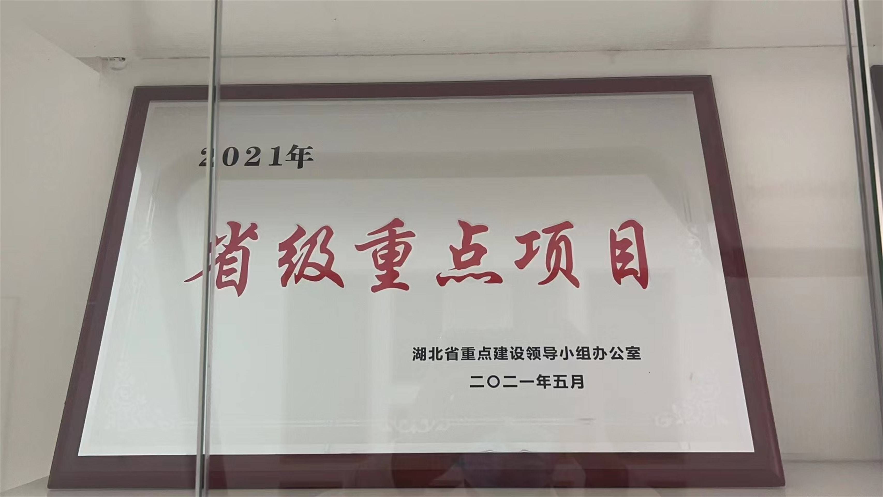 公司展示
