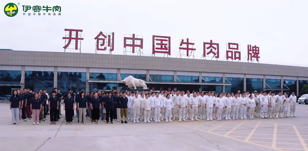 伊赛控股的公司展示