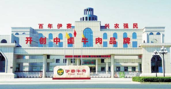 伊赛控股的公司展示