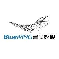 河南翼蓝影视文化传媒有限公司