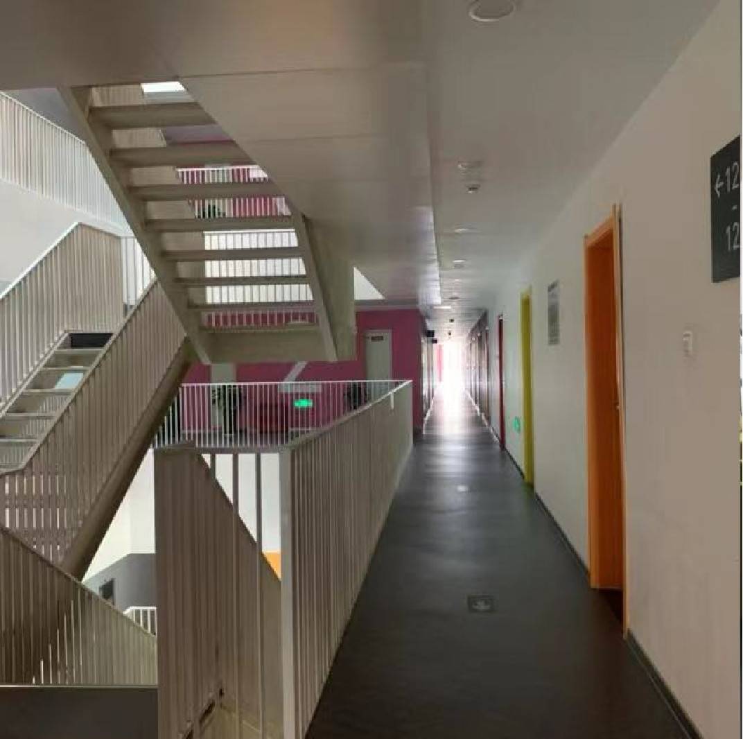 公司展示