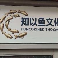 郑州知以鱼文化传媒有限公司