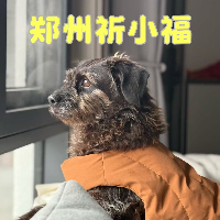 郑州祈小福文化传播有限公司