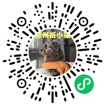 郑州祈小福文化传播有限公司编辑扫码投递简历