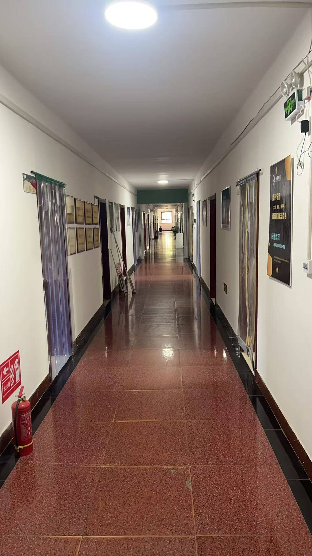 公司展示