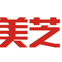 安徽美芝精密制造有限公司
