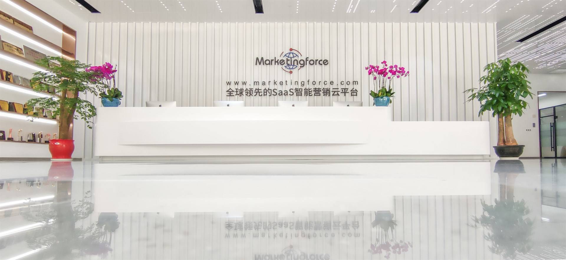 公司展示