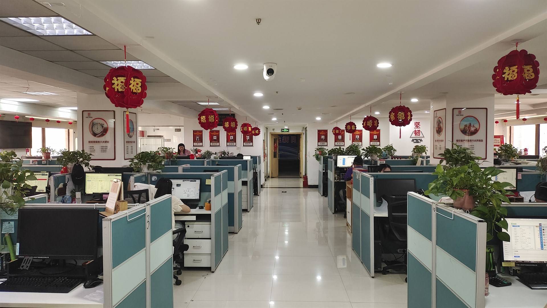 公司展示