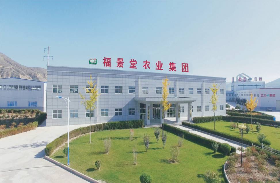 公司展示