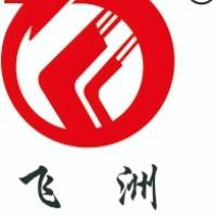 飞洲集团股份有限公司