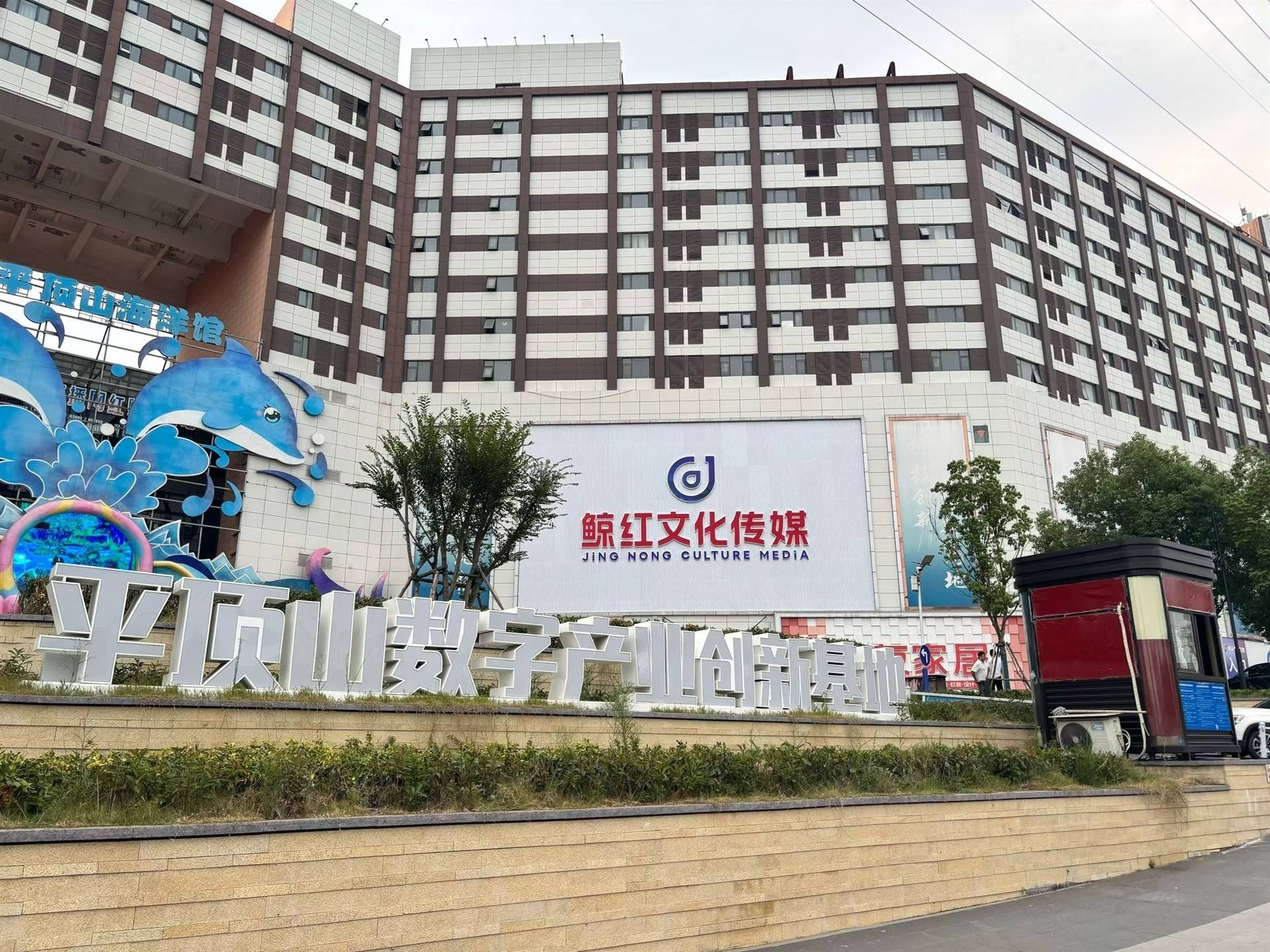 公司展示