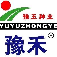 付鸽