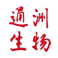 张辉