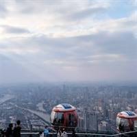 杨振华