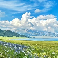 胡少华