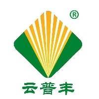 杨秋霞