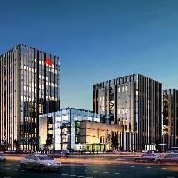 杨鸽