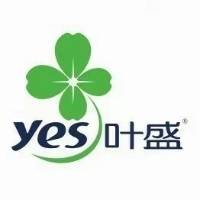 王一铭