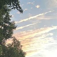 吴倩莲