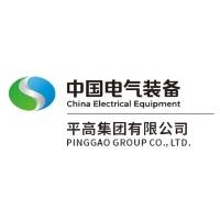 平高集团有限公司