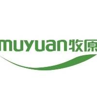 李先生