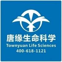 李润苒