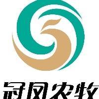 李倩