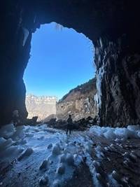 李阳