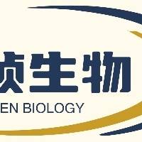 毛旭阳