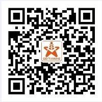 陈以恒