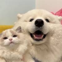 熊璐璐