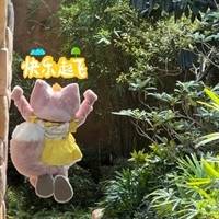 巩光旭
