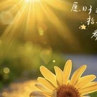 王月静