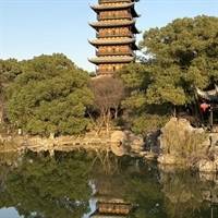 张先生