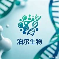 张先生